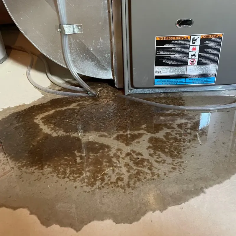 Pipe Burst and Leak Restoration in North Valley, NM